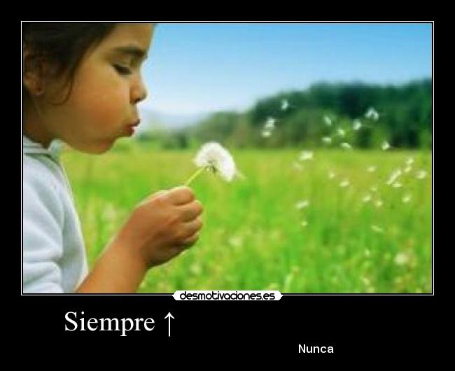 Siempre ↑ - Nunca ↓