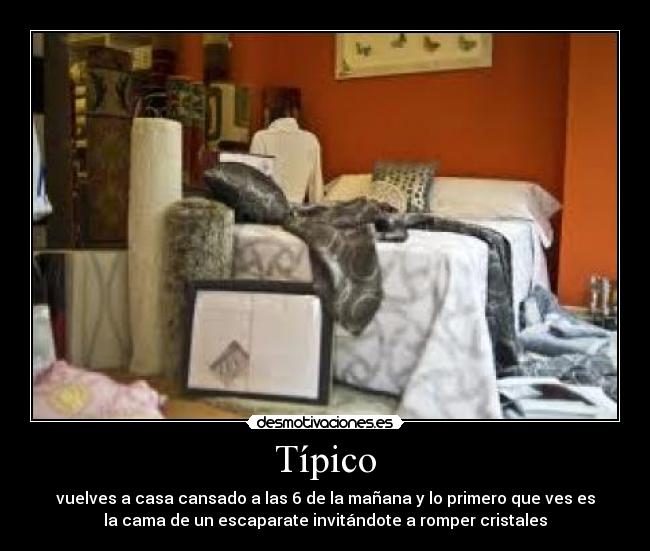 Típico - vuelves a casa cansado a las 6 de la mañana y lo primero que ves es
la cama de un escaparate invitándote a romper cristales