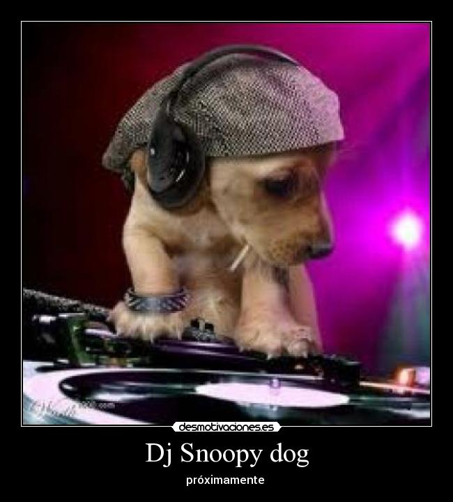 Dj Snoopy dog -
