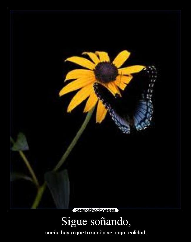 Sigue soñando, - sueña hasta que tu sueño se haga realidad.