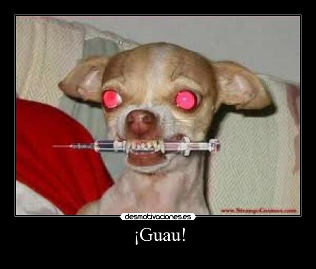 ¡Guau! - 