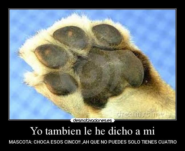 Yo tambien le he dicho a mi - 