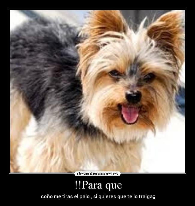 carteles para que desmotivaciones