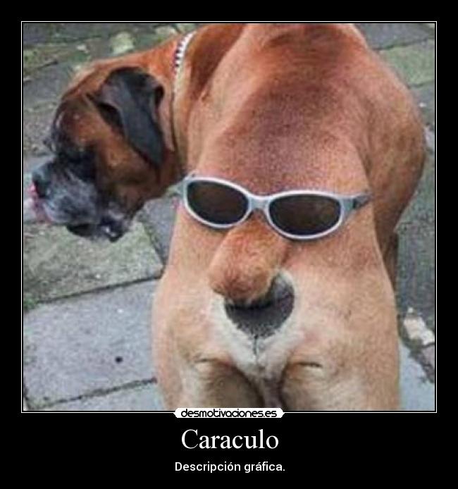 Caraculo - Descripción gráfica.