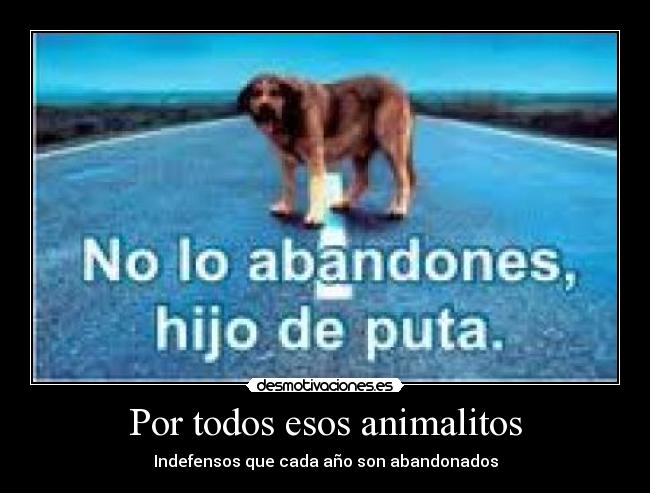 Por todos esos animalitos -