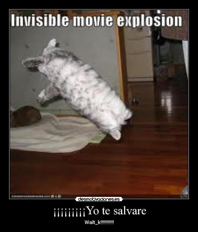 ¡¡¡¡¡¡¡¡¡Yo te salvare - 