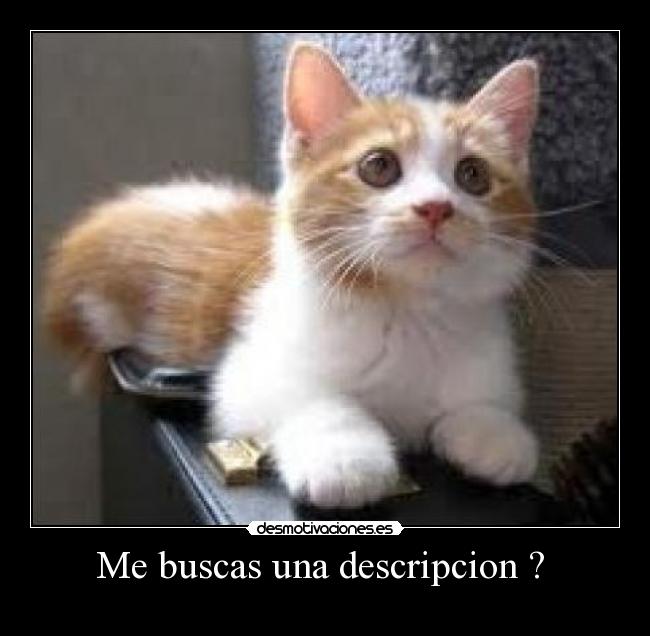 Me buscas una descripcion ? -