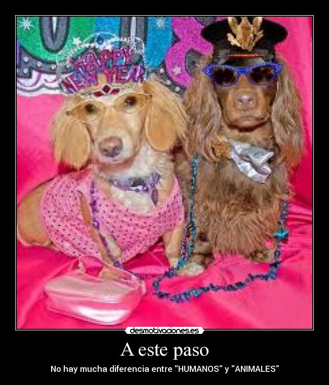 A este paso - No hay mucha diferencia entre HUMANOS y ANIMALES