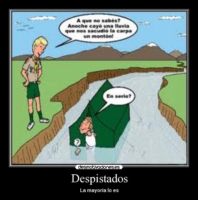 Despistados - 