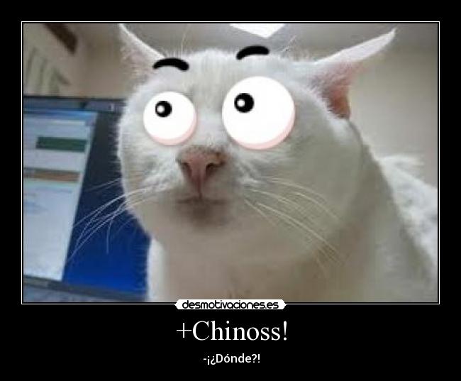 +Chinoss! - 