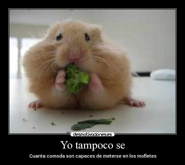 Yo tampoco se - Cuanta comoda son capaces de meterse en los mofletes