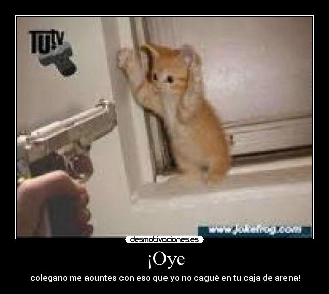 ¡Oye - colegano me aountes con eso que yo no cagué en tu caja de arena!