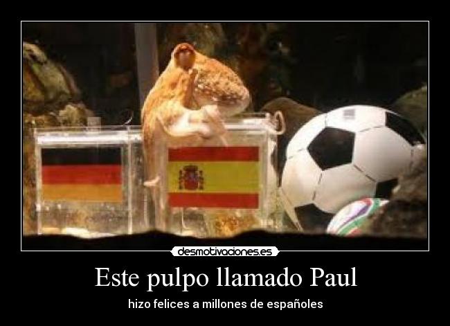 Este pulpo llamado Paul - hizo felices a millones de españoles
