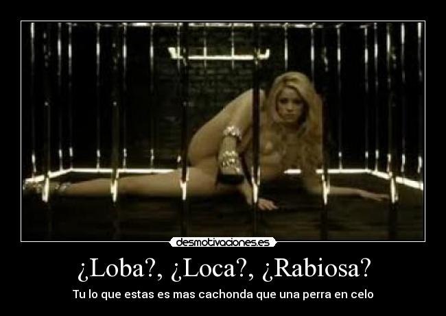 ¿Loba?, ¿Loca?, ¿Rabiosa? - 