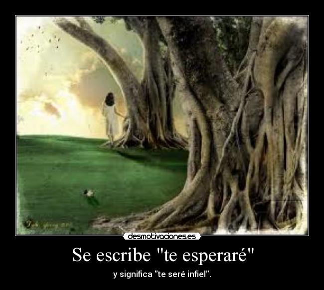 Se escribe te esperaré - 