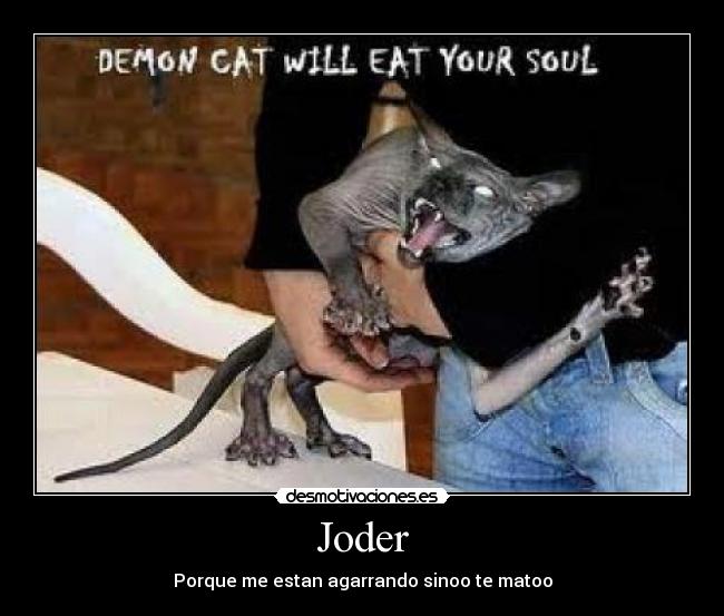 Joder - Porque me estan agarrando sinoo te matoo