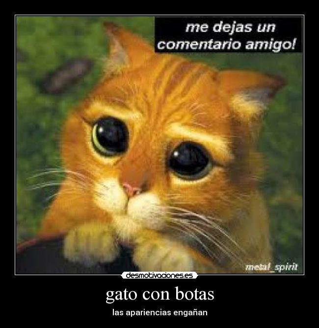 gato con botas - las apariencias engañan