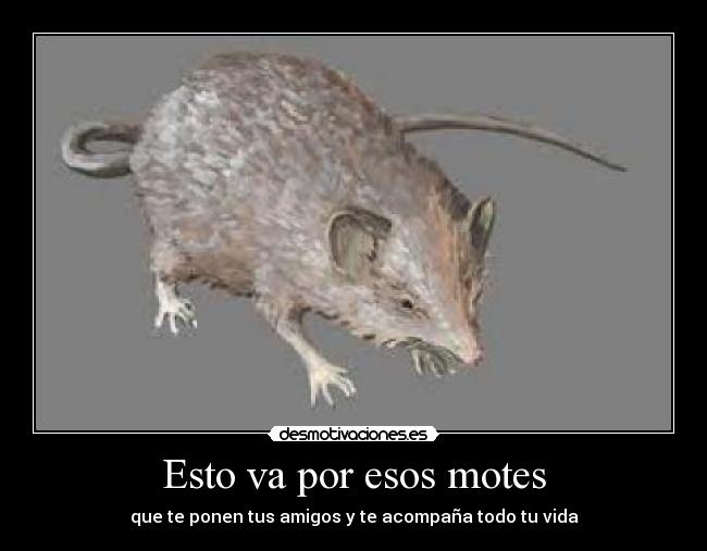 Esto va por esos motes - que te ponen tus amigos y te acompaña todo tu vida