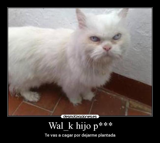 Wal_k hijo p*** -