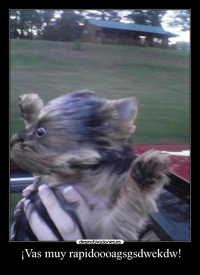 ¡Vas muy rapidoooagsgsdwekdw! -