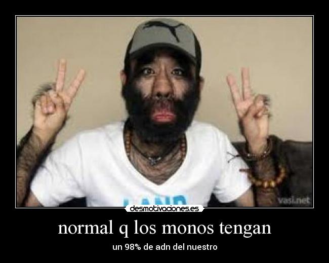 normal q los monos tengan - un 98% de adn del nuestro