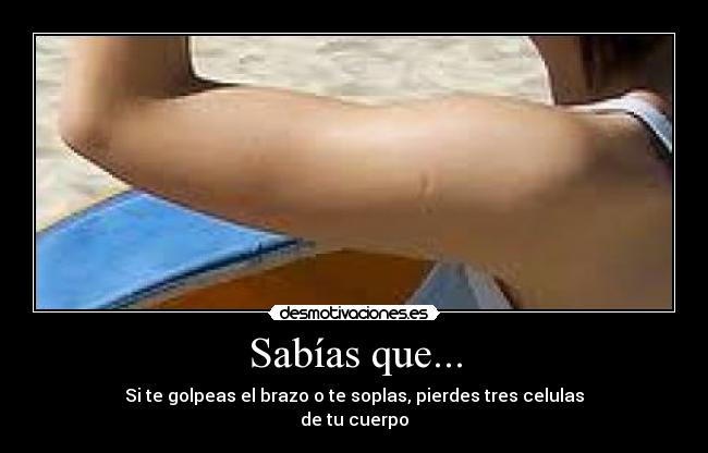 Sabías que... - Si te golpeas el brazo o te soplas, pierdes tres celulas
de tu cuerpo