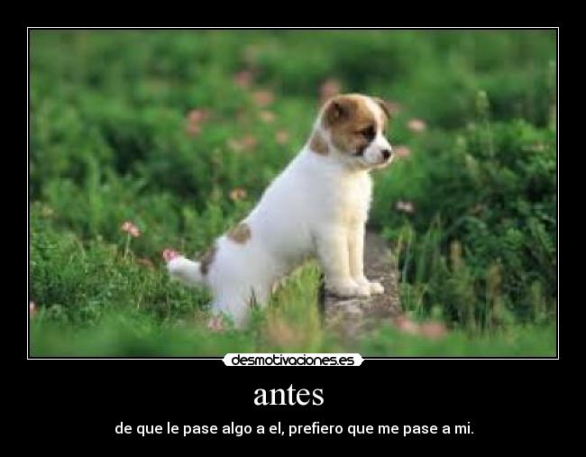 antes - de que le pase algo a el, prefiero que me pase a mi.