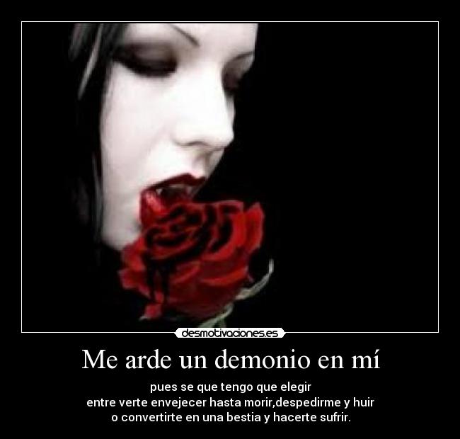 carteles vampiroamorsantafow desmotivaciones