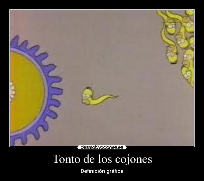 Tonto de los cojones - 