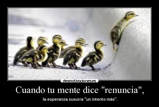 Cuando tu mente dice renuncia, -