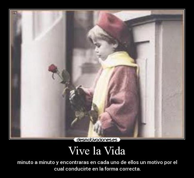 Vive la Vida - 