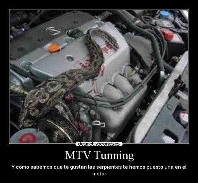 MTV Tunning -