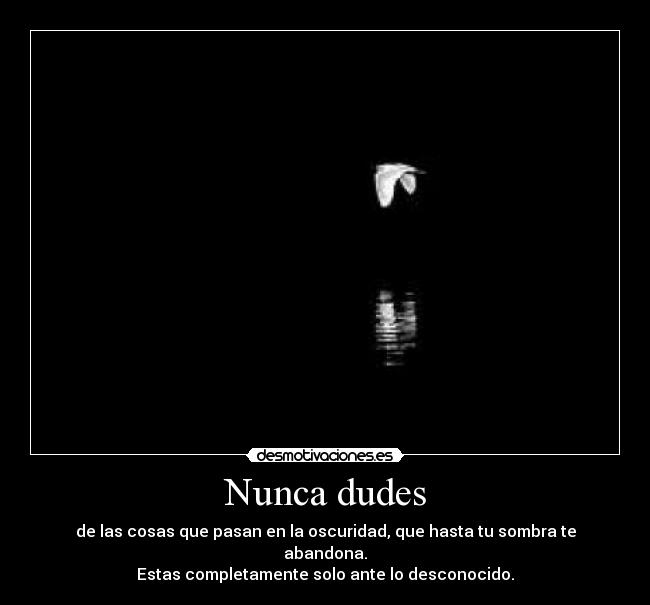Nunca dudes -