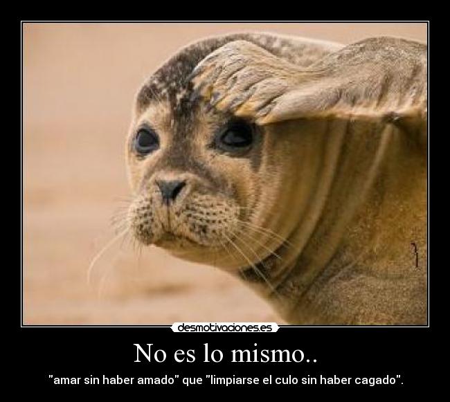 No es lo mismo.. -