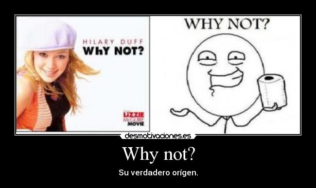 Why not? - Su verdadero orígen.