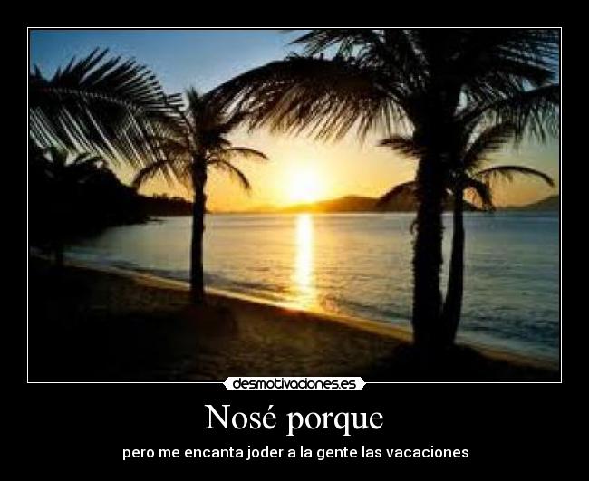 carteles lidialovearoa desmotivaciones