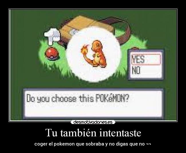 Tu también intentaste - 