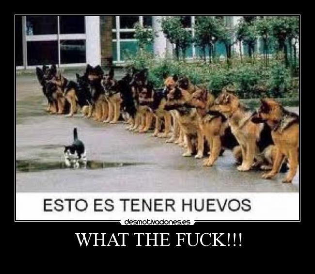 carteles desmotivaciones