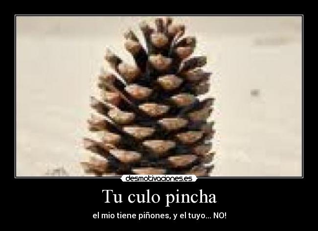 carteles shuri92 desmotivaciones