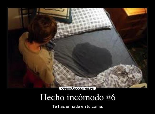 Hecho incómodo #6 - Te has orinado en tu cama.