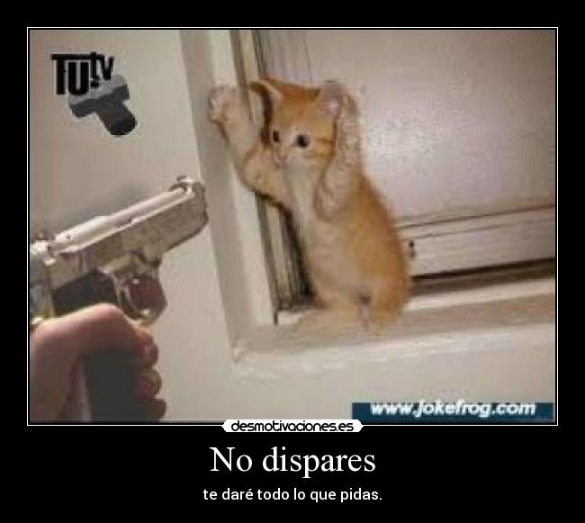 No dispares - te daré todo lo que pidas.