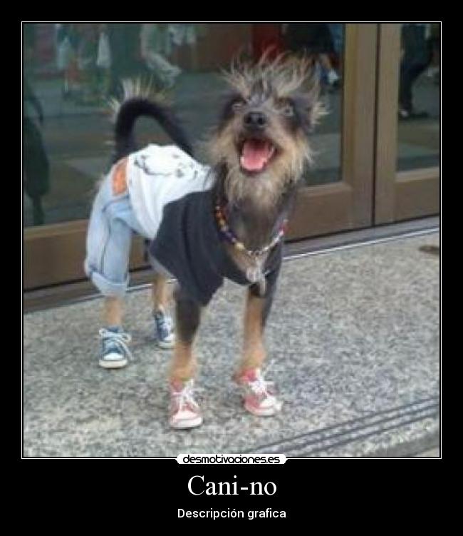 Cani-no - 