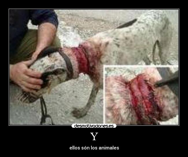 Y - ellos són los animales