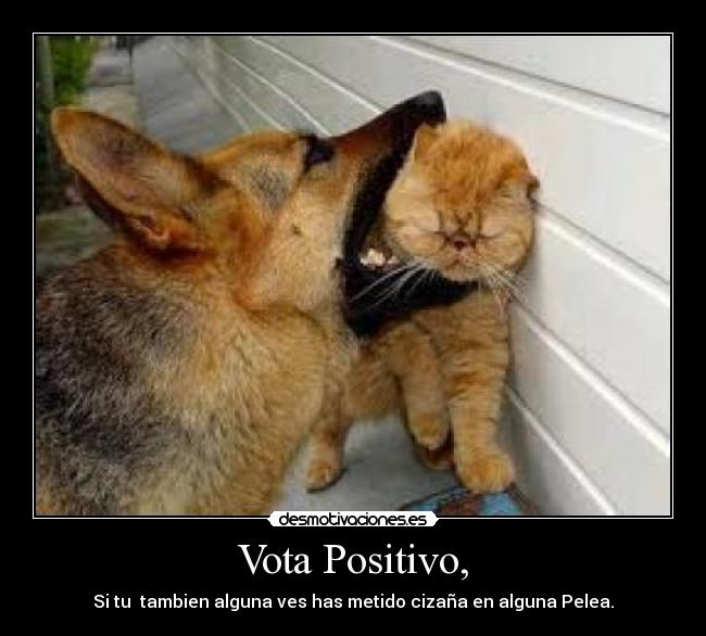 Vota Positivo, - 