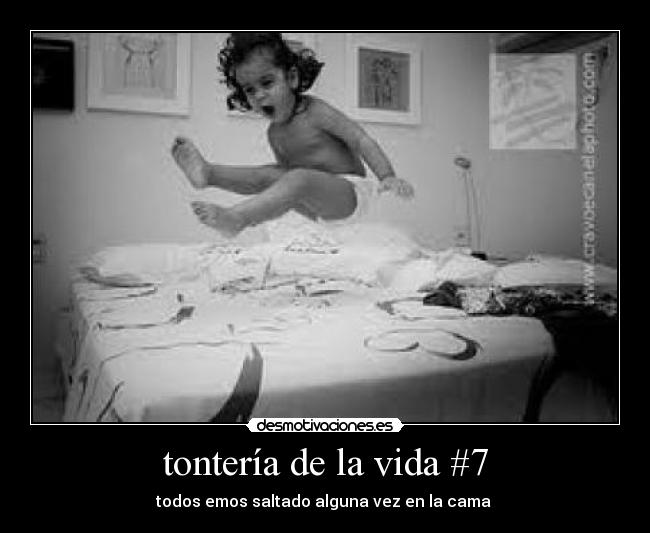 tontería de la vida #7 -