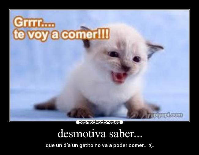 desmotiva saber... - 