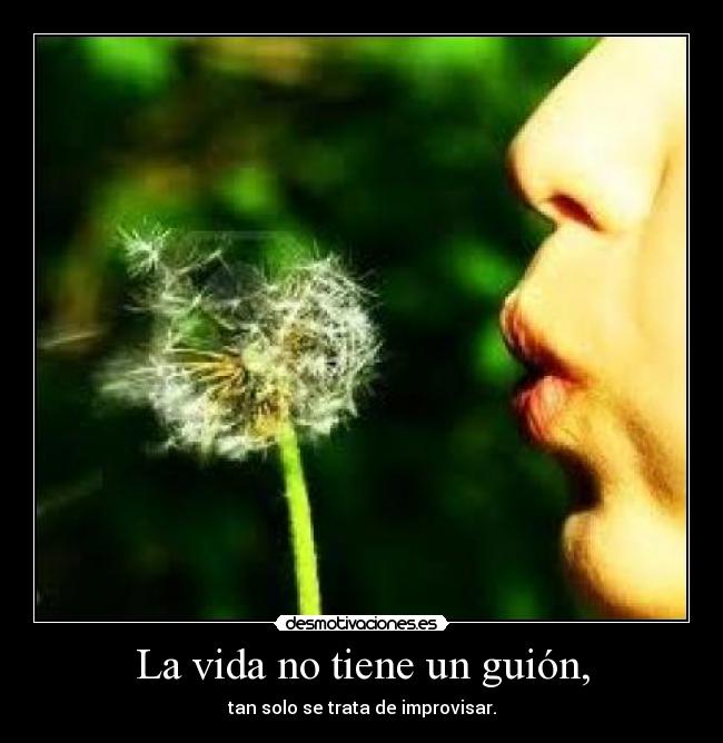 La vida no tiene un guión, - 