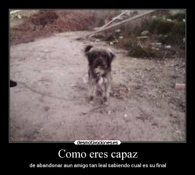 Como eres capaz -