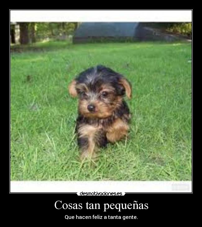 Cosas tan pequeñas - Que hacen feliz a tanta gente.