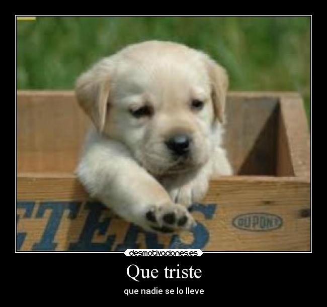 Que triste -